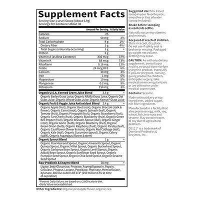 Garden of Life, Raw Organic, Perfect Food, GREEN SUPERFOOD, Original Powder - 207g