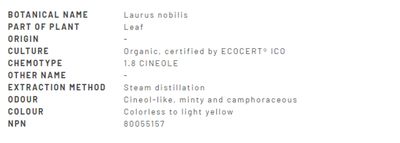 Divine Essence, LAUREL LEAF (Bay Laurel), For Flu &amp; Bronchitis, Essential Oil - 15 mL