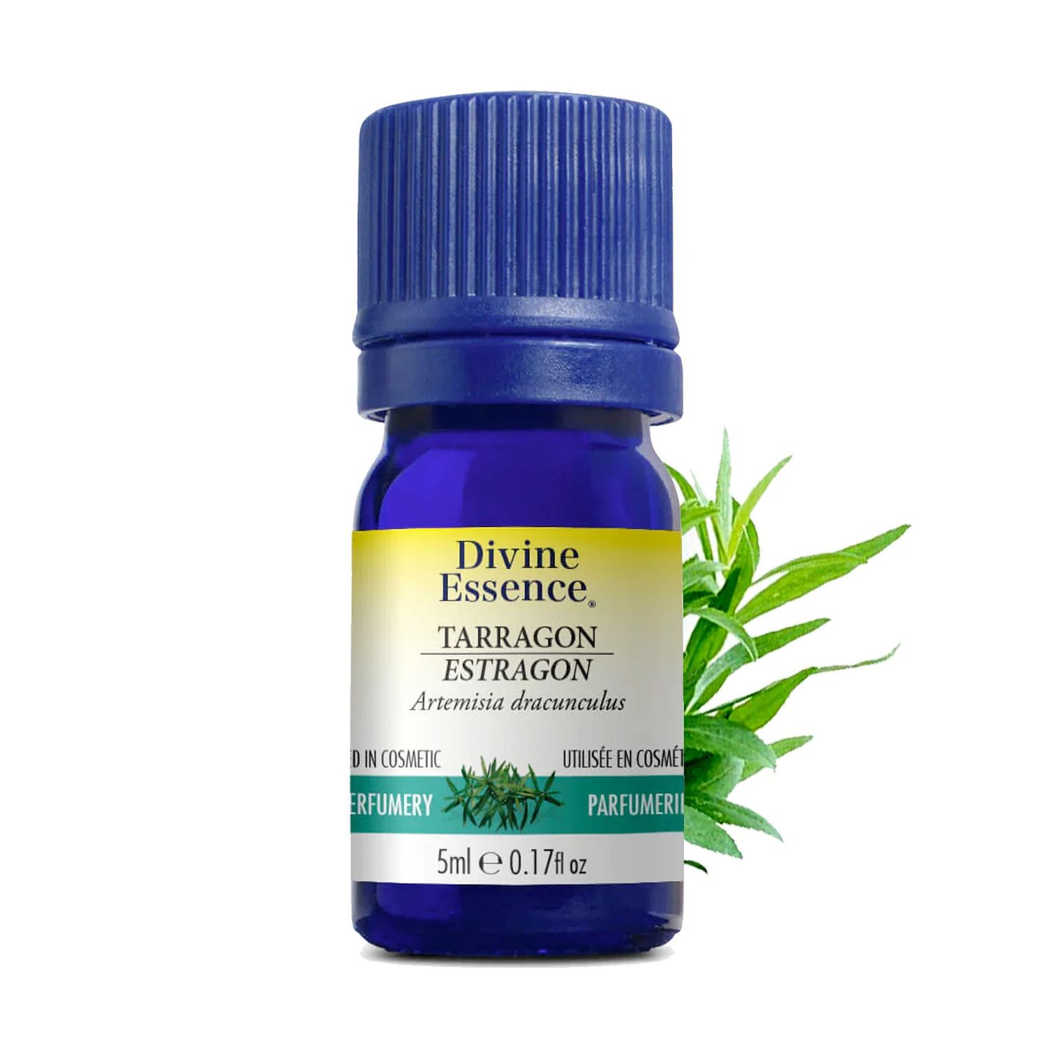 Divine Essence, TARRAGON, Adds Fragrance To Your Recipes, Essential Oil - 5 mL (0.17 fl. oz.)