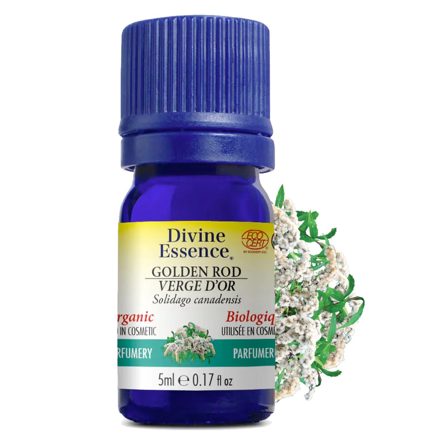 Divine Essence, GOLDEN ROD Organic, Adds Fragrance To Recipes, Essential Oil - 5 mL
