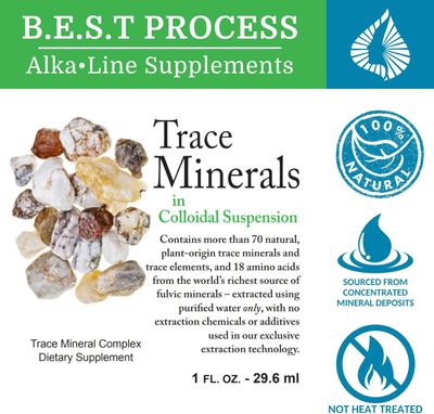 B.E.S.T Process, Morter TRACE MINERALS in Colloidal Suspension, Iron, Liquid - 1 fl. oz (29.6 mL)