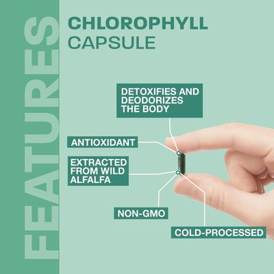 Land Art, CHLOROPHYLL (From Alfalfa) Capsules - 90 Vegetarian Capsules