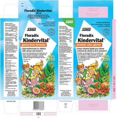 Salus, FLORADIX KINDERVITAL, Multivitamin For Children With Calcium &amp; Vitamin D, Liquid - 500 mL