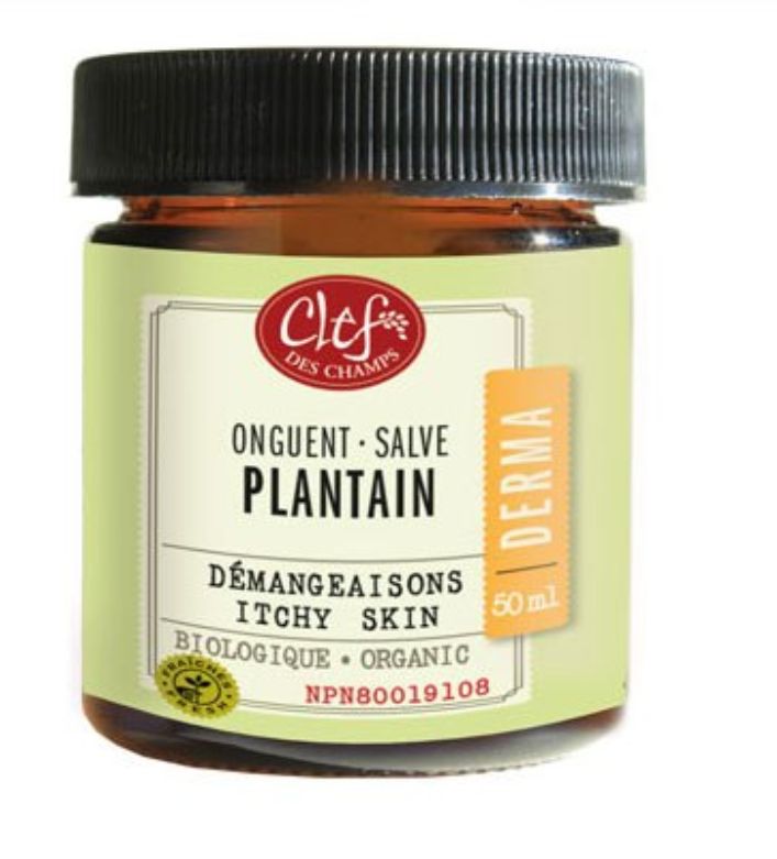 Clef Des Champs, Derma PLANTAIN Salve Organic, Relieves Itching Associated With Hemorrhoids, Cream