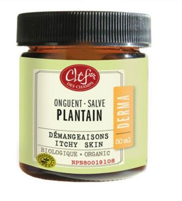 Clef Des Champs, Derma PLANTAIN Salve Organic, Relieves Itching Associated With Hemorrhoids, Cream