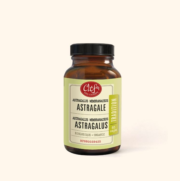 Clef Des Champs, Tradition ASTRAGALUS Organic 280mg, For Energy