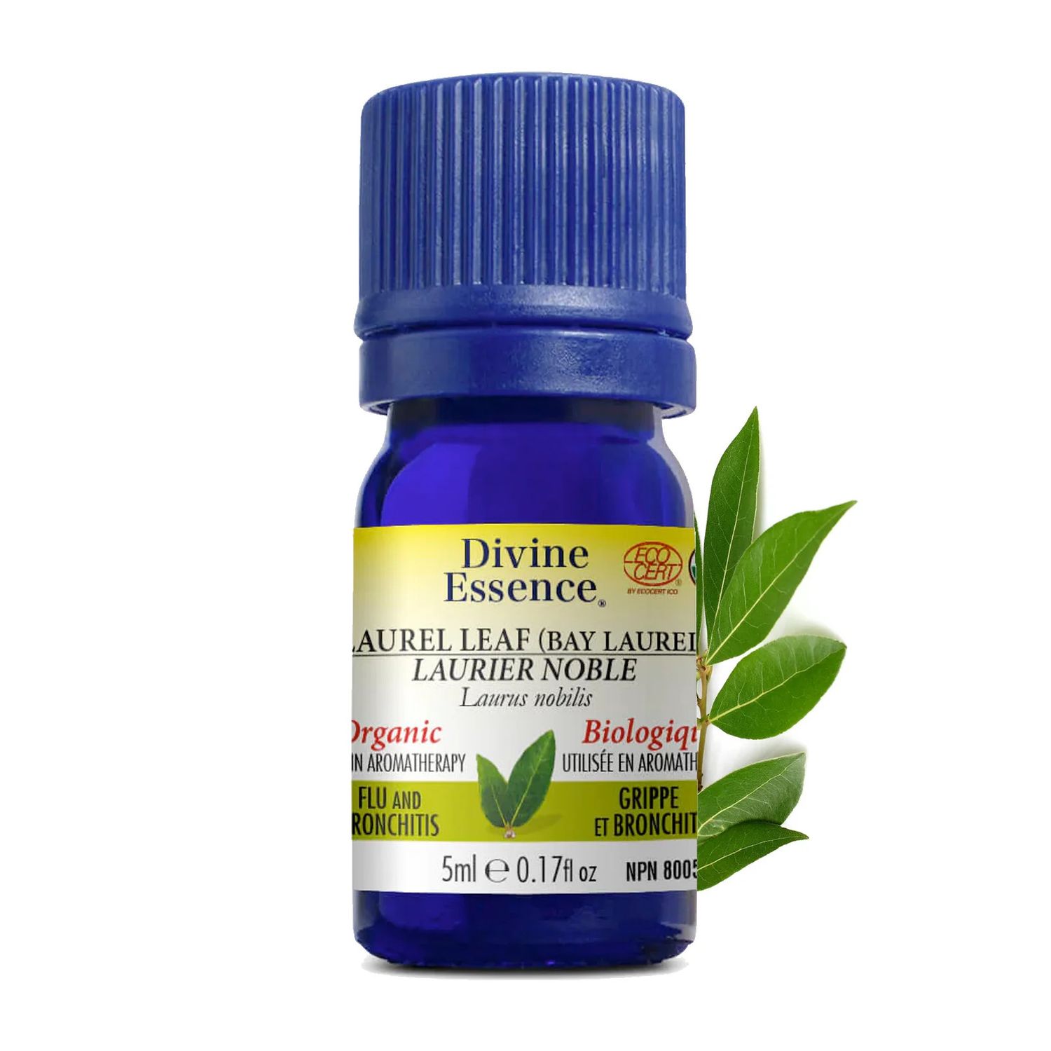 Divine Essence, LAUREL LEAF (Bay Laurel), For Flu &amp; Bronchitis, Essential Oil, Size: 5 mL (0.17 fl. oz.)
