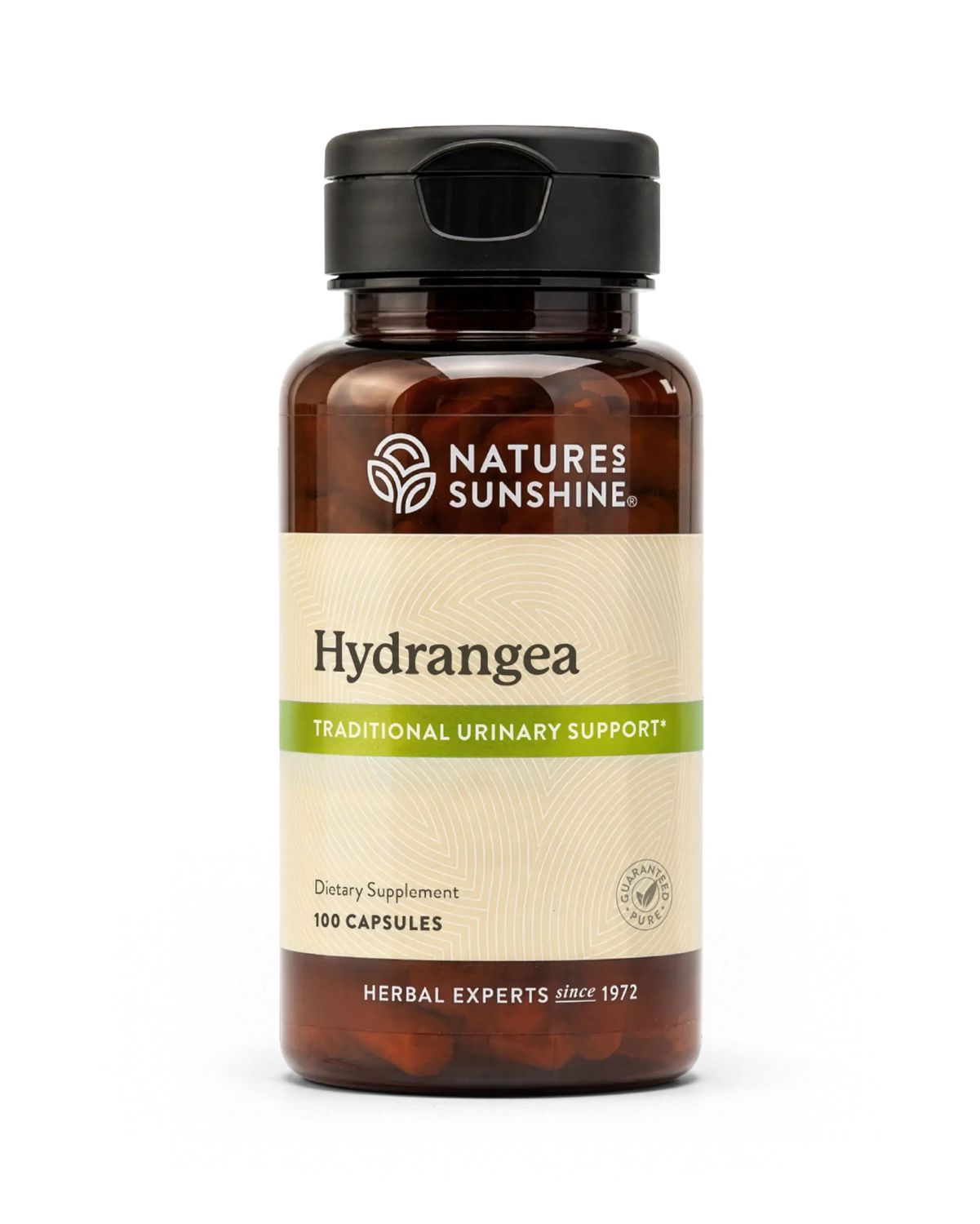 Nature's Sunshine, Kosher Hydrangea 650mg, Traditional Urinary Support - 100 Vegetarian Capsules