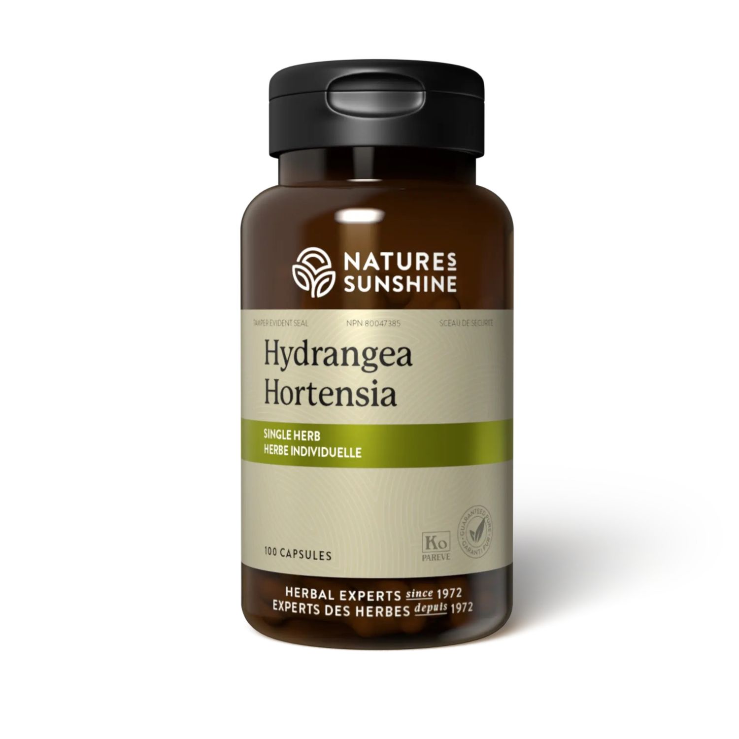 Nature's Sunshine, Kosher Hydrangea Hortensia, Herbal Urinary Support - 100 Vegetarian Capsules