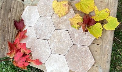 TOMETTE PIERRE NATURELLE Prix / m²