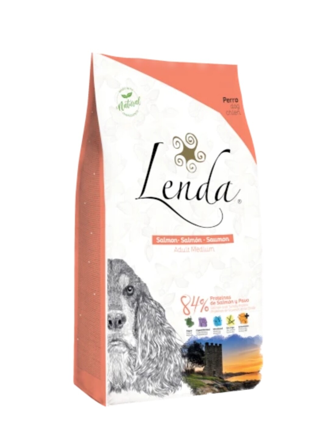 Lenda Salmón
