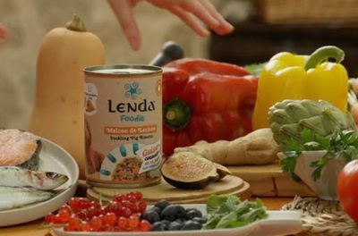 Alimentación Húmeda