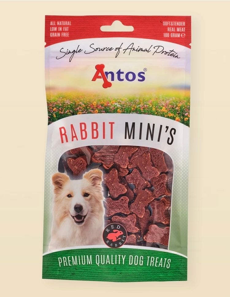 Rabbit Mini's