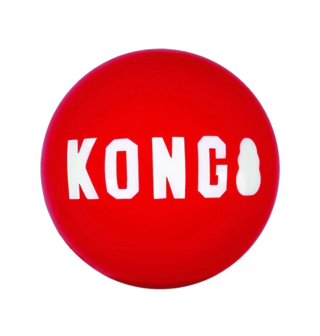 Pelota Kong Signature Medium