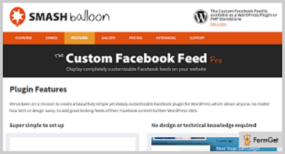 The Custom Facebook Feed Pro (+ All Extensions) WordPress Plugin