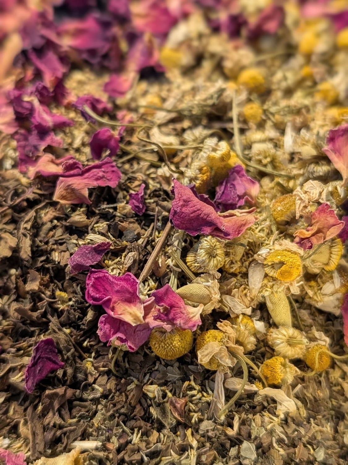 Refill your Practitioner Blend