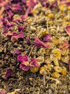 Refill your Practitioner Blend