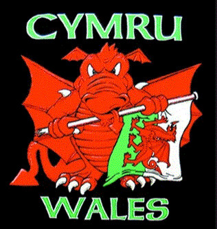 Black Dragon And Flag T Shirts Black Dragon And Flag T Shirts