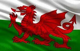 Welsh Flag 3'x2'