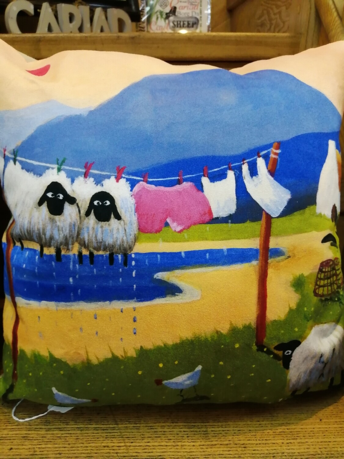'Handwash Only' Cushion by Thomas Joseph