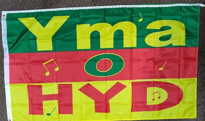 Yma O Hyd Flag