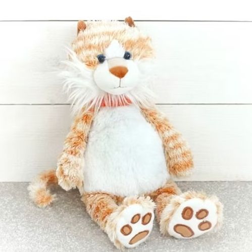 Ginge the Cat by Jomanda