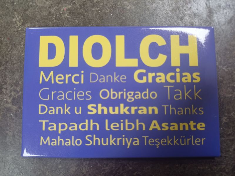 Diolch / Thanks Fridge Magnet