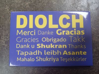 Diolch / Thanks Fridge Magnet