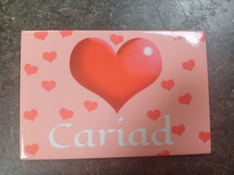 Cariad Fridge Magnet