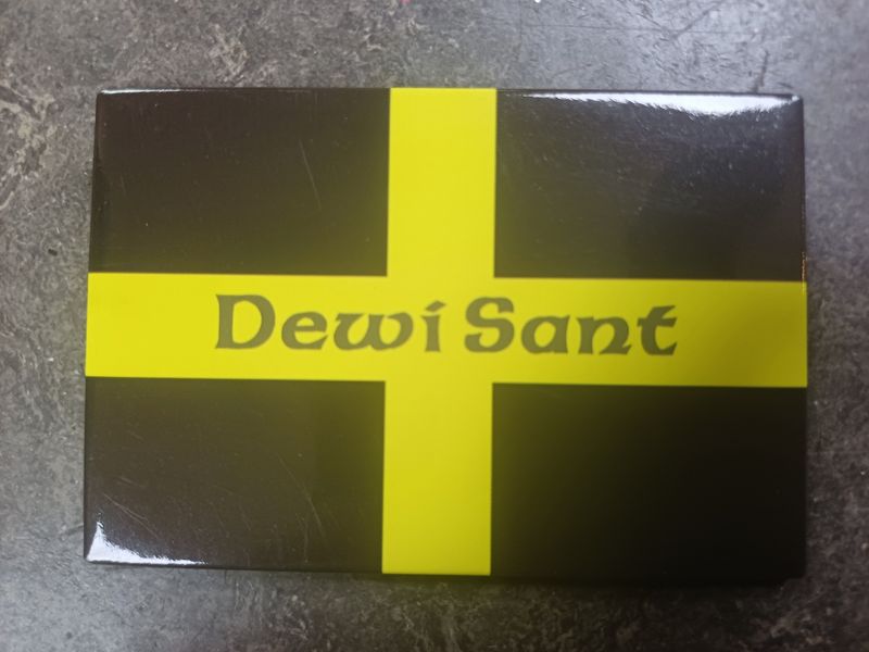 Dewi Sant Fridge Magnet