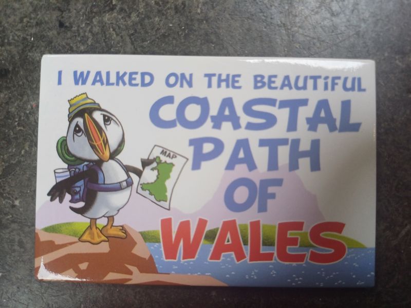 Coastal Path Fridge Magnet
