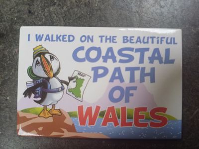 Coastal Path Fridge Magnet