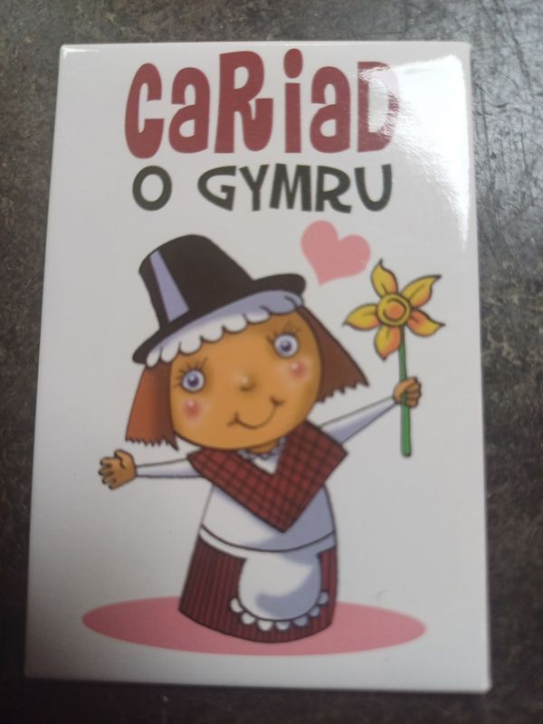 Cariad O Gymru Fridge Magnet