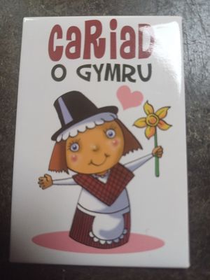 Cariad O Gymru Fridge Magnet