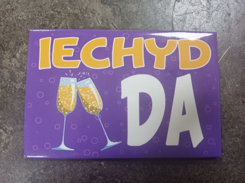 Iechyd da (bubbly) Fridge Magnet