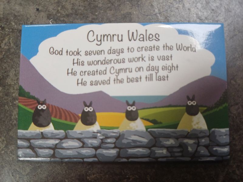 'Seven Days' Fridge Magnet