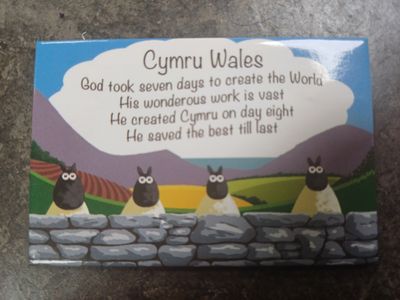 'Seven Days' Fridge Magnet
