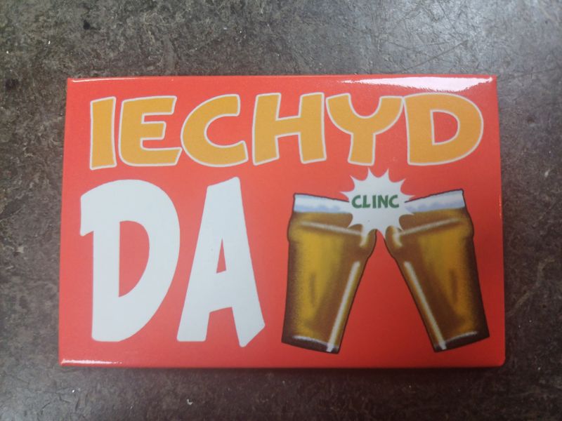Iechyd da (beer) Fridge Magnet