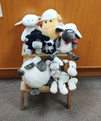 Sheep and Lambs