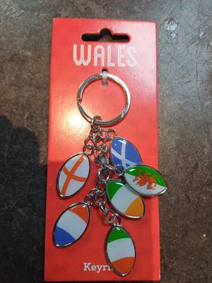 Six Nations Rugby Metal Keyring