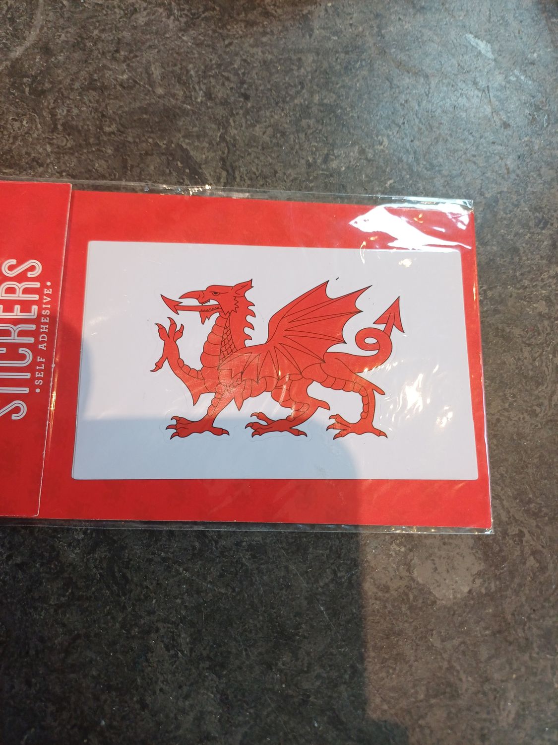 Dragon Rectangular Sticker Dragon Rectangular Sticker