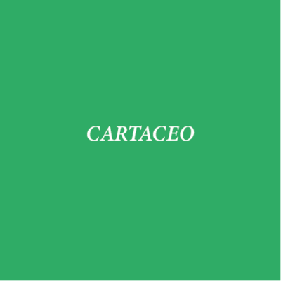 CARTACEO