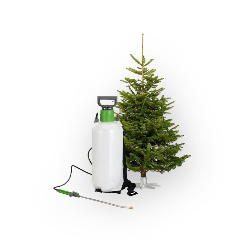 Uw kerstboom brandvertragend laten impregneren
