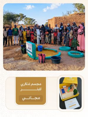 بئر إرتوازي في أفريقيا ( النيجر ) بمضخة كبيرة