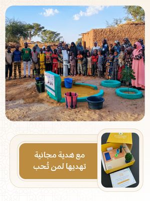 بئر إرتوازي في أفريقيا ( النيجر ) بمضخة كبيرة