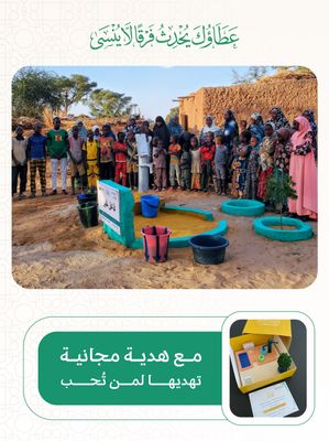 An artesian well in Africa (Niger) with a large pump