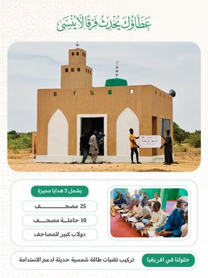 Mosques in Africa (Niger, Benin)