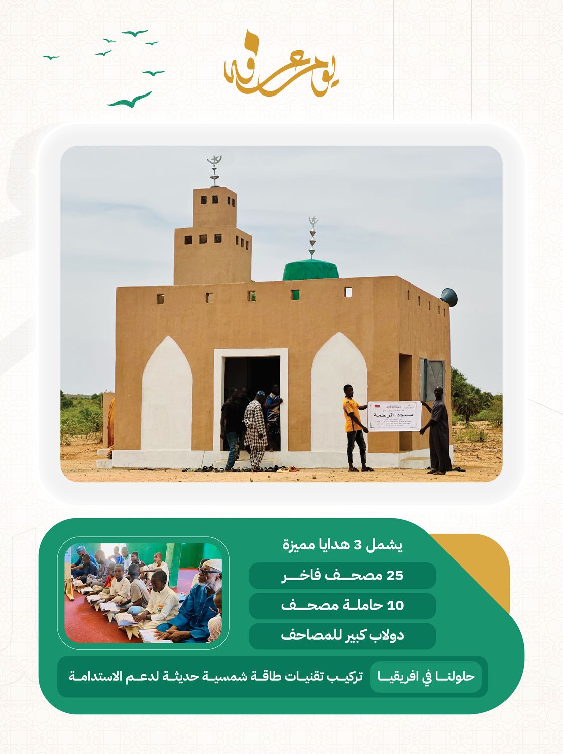 Mosques in Africa (Niger, Benin)