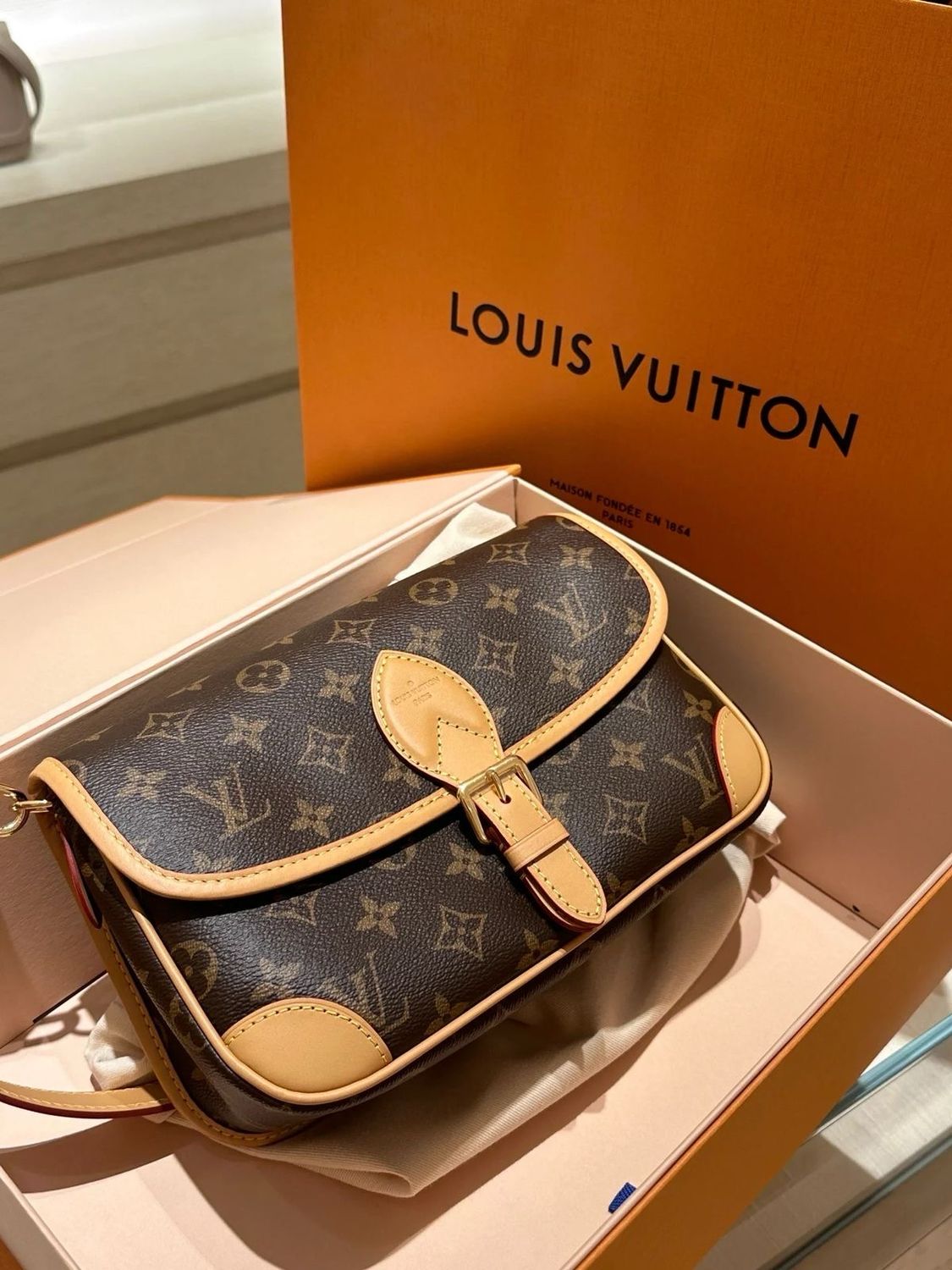 Borsa Lv Diane big