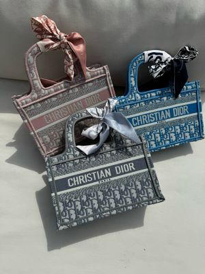 Mini borsa Dior book